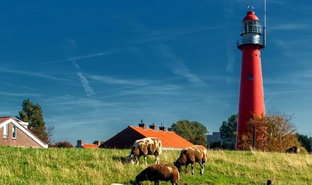 Vue de Hook of Holland