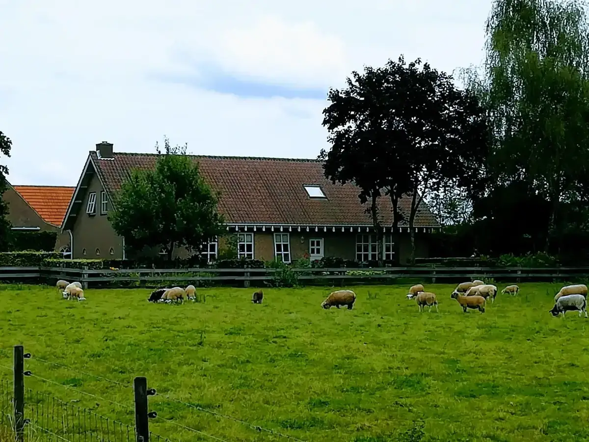 Vue de Puttgarden et de ses principaux sites