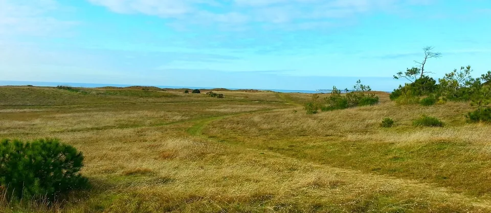 Landes côtières de Barbâtre sur l’île de Noirmoutier