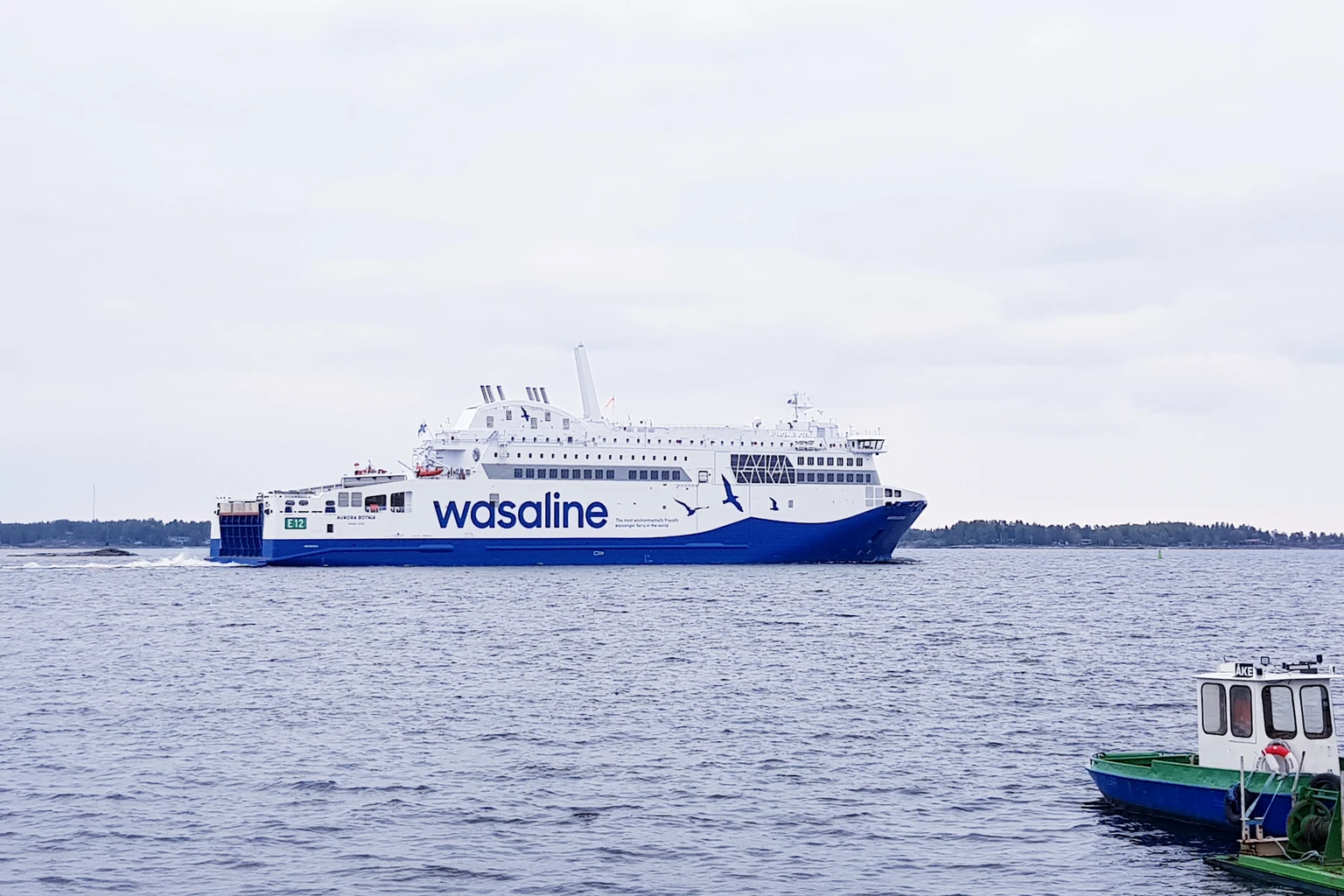 Ferry Wasaline
