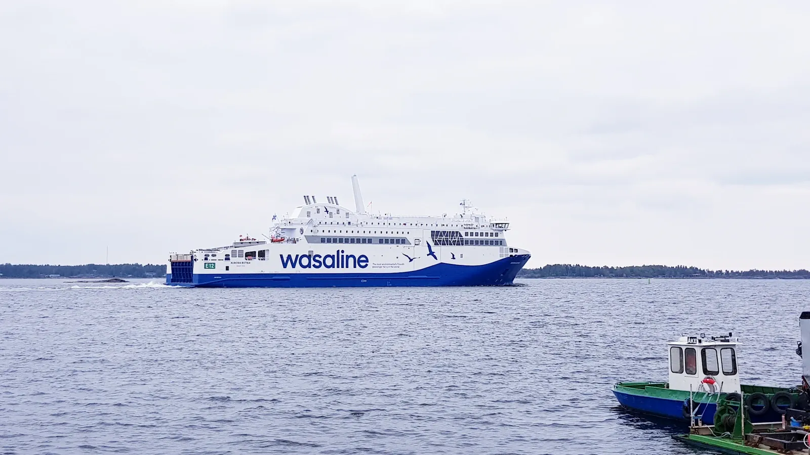 Ferry Wasaline